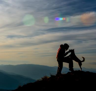 7 Tips to better enjoy your hikes with your dog
