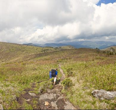 Discover The Appalachian Trail
