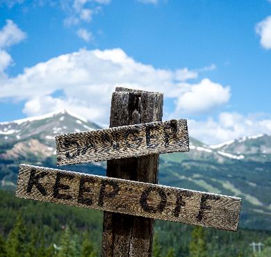 12 dangers dans nos forêts photo