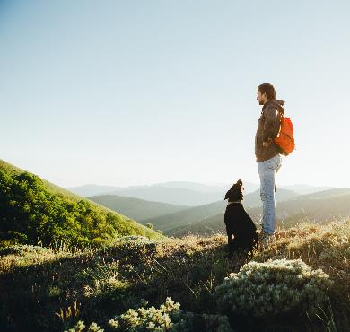 7 trucs pour apprécier davantage ses randonnées avec son chien photo