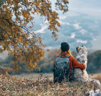 7 Trucs pour mieux apprécier tes randonnées avec ton chien photo