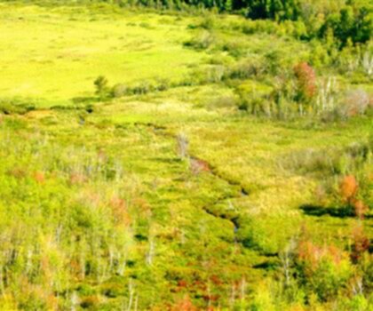 Dorr Mountain, Maine photo
