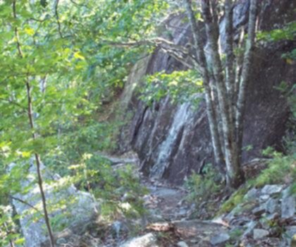 Dorr Mountain, Maine photo
