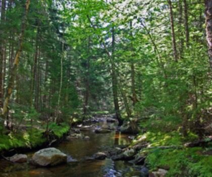 Penobscot Mountain, Maine photo