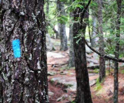 Norumbega Mountain, Maine photo