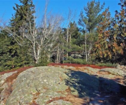 The Triad, Maine photo