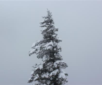 Mount Megunticook, Maine photo