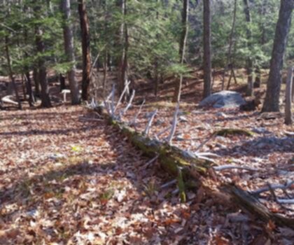 Jackie Jones Mountain, New York photo