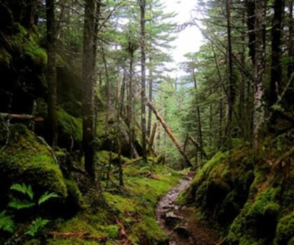 Burnt Mountain, Vermont photo