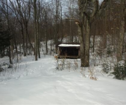 Buck Mountain, New York photo