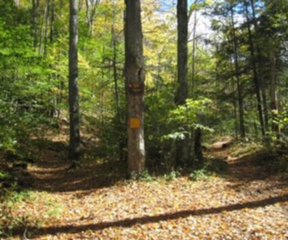 Giant Mountain, New York photo