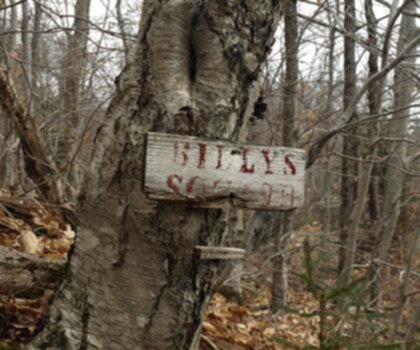 Brown Pond Mountain, New York photo