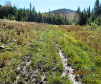 East Kennebago Mountain, Maine photo