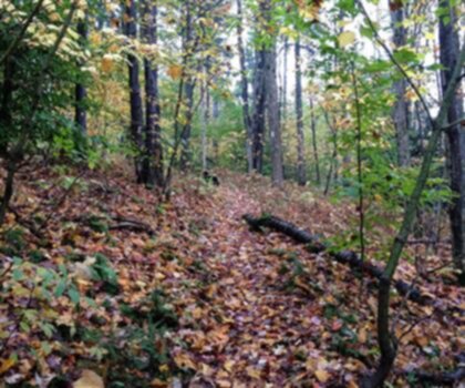 Virgil Mountain, New York photo