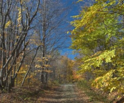 Virgil Mountain, New York photo