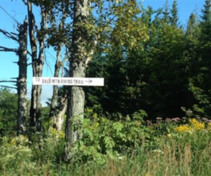 Bald Mountain, Maine photo