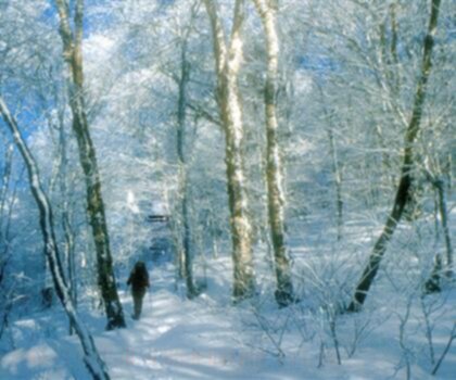 Pico Peak, Vermont photo