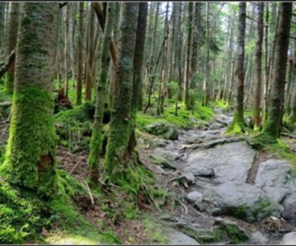 Little Killington, Vermont photo