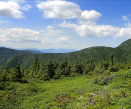 Goose Eye Mountain, Maine photo