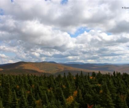 Balsam Lake Mountain, New York photo