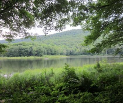 Balsam Lake Mountain, New York photo