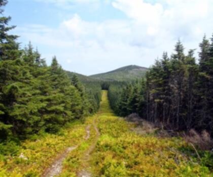 Boundary Peak, New York photo
