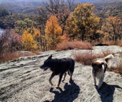Iroquois Peak, New York photo