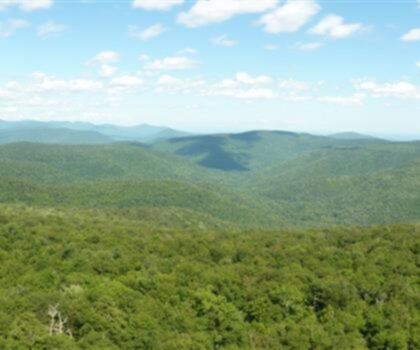 Panther Mountain, New York photo