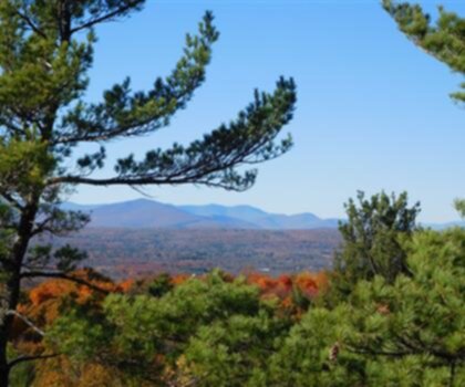 Table Mountain, New York photo