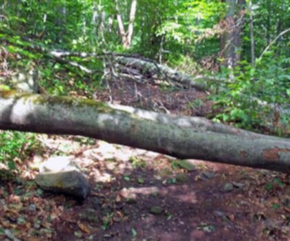 Peekamoose Mountain, New York photo