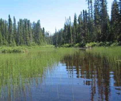 Parc National Des Monts-valin photo