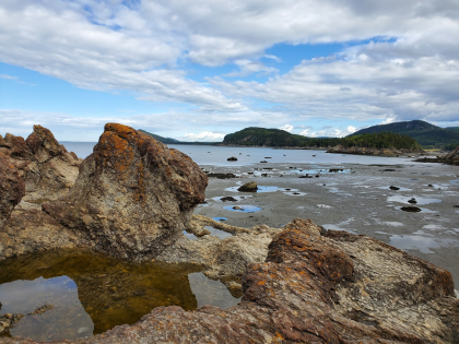 PARC NATIONAL DU BIC photo