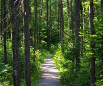 Parc national de Frontenac photo