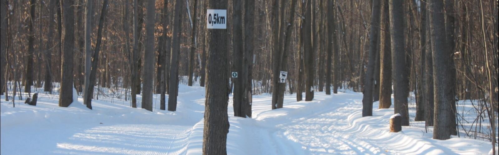 Base De Plein Air Des Cedres Hiking Trails Map Of The Best Trails In 2021 Base De Plein Air Des Cedres Hiking Trails Map Of The Best Trails In 2021