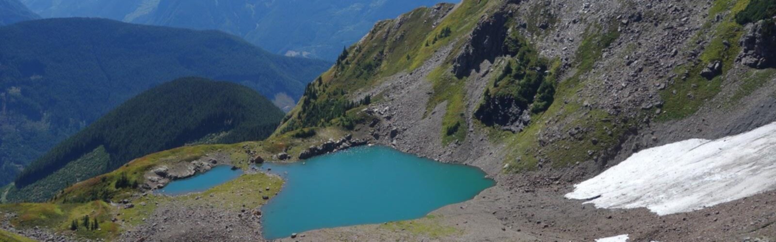 Williamson Lake Hiking Trails Map of the best trails in 2024