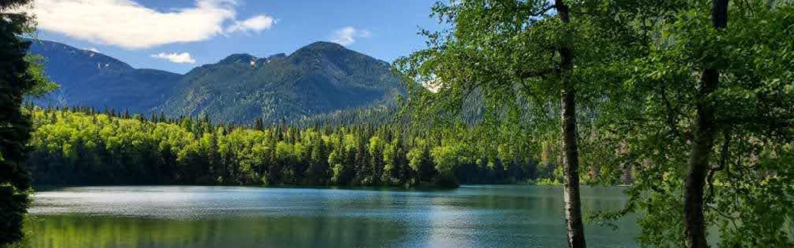 Heart Lake Hiking Trails - Map of the best trails in 2023