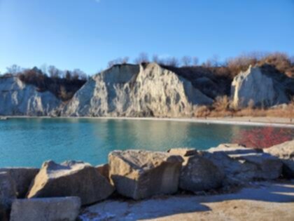 are dogs allowed at scarborough bluffs