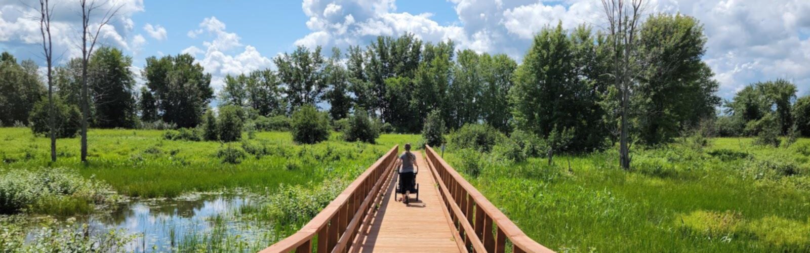 Parc National De Plaisance randonnée Carte des meilleurs sentiers en 2024